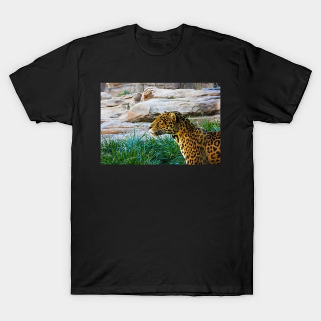 Leopard T-Shirt by Ckauzmann